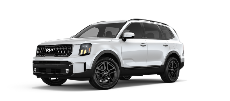 Kia Telluride Winter Package