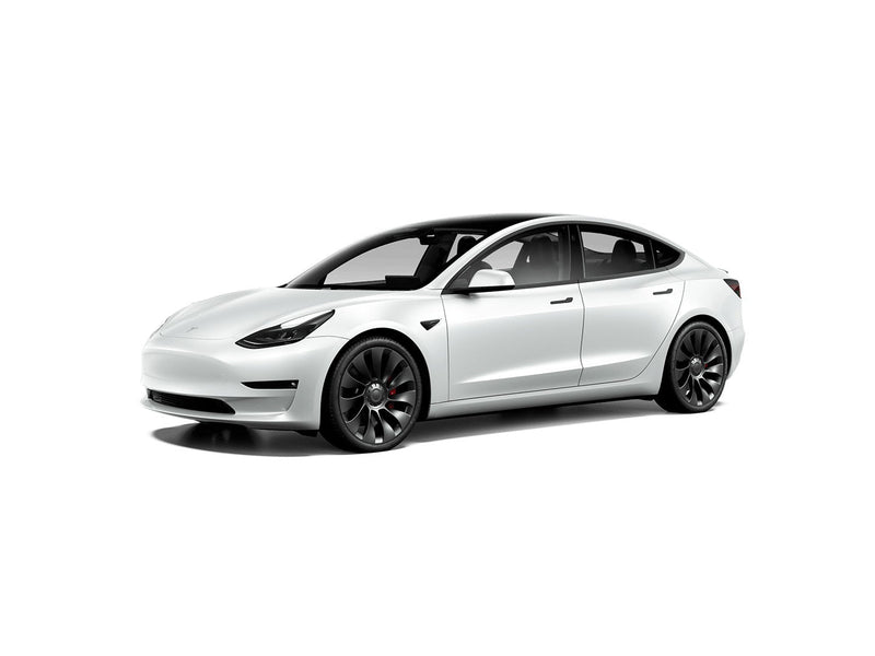 Tesla Model 3 19" Winter Package