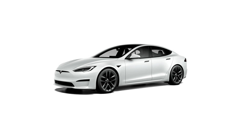 Tesla Model S 2021+ 19" Winter Package