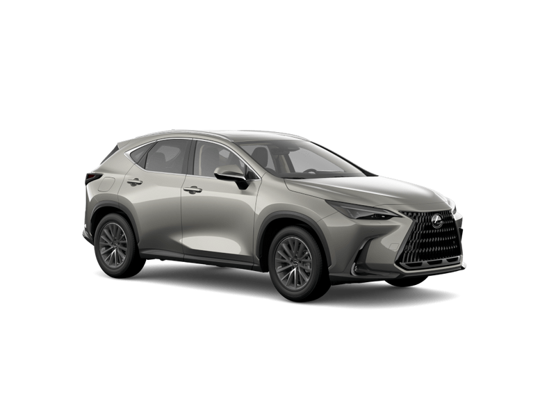 Lexus NX 2022+ Winter Package