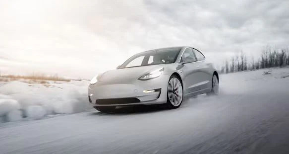 2021-2022 Tesla Model 3 Performace 19" Winter Package